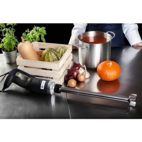 Mocny mikser blender robot ręczny dł. 400 mm 500 W 230 V Royal Catering Royal Catering Mocny mikser blender robot ręczny dł. 400 mm 500 W 230 V Royal Catering Royal Catering