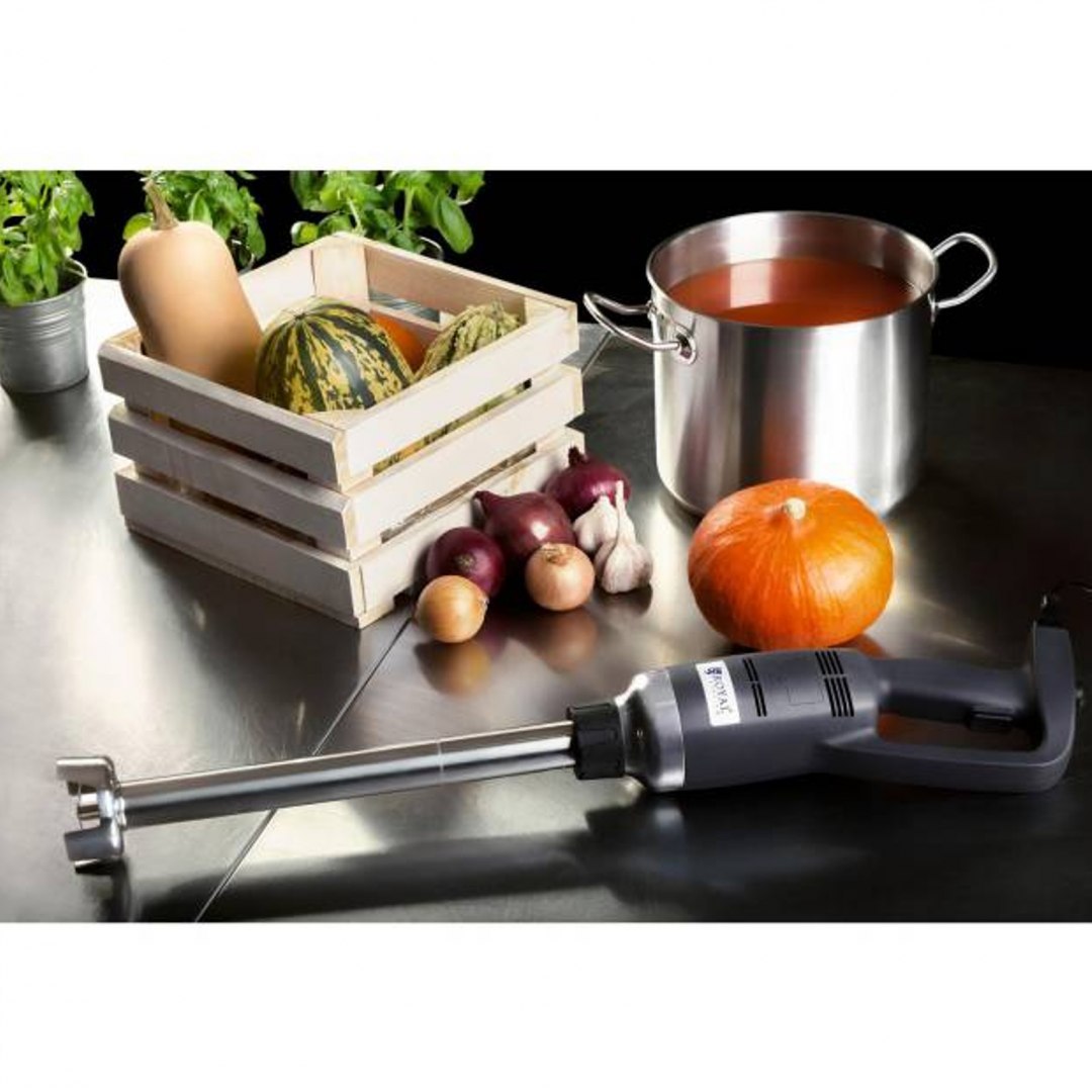 Mocny mikser blender robot ręczny dł. ramienia 400mm 500W 230V Royal Catering Royal Catering Mocny mikser blender robot ręczny dł. ramienia 400mm 500W 230V Royal Catering Royal Catering