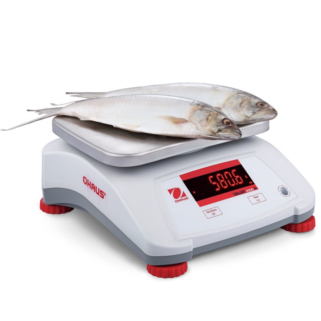 Waga kuchenna kontrolna wodoodporna IP68 VALOR 2000 30kg / 5kg - OHAUS V22PWE30T OHAUS Waga kuchenna kontrolna wodoodporna IP68 VALOR 2000 30kg / 5kg - OHAUS V22PWE30T OHAUS