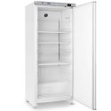 Szafa chłodnicza 1-drzwiowa stalowa o pojemności 600 l 0-8C 193 W Budget Line - Hendi 236048 ARKTIC