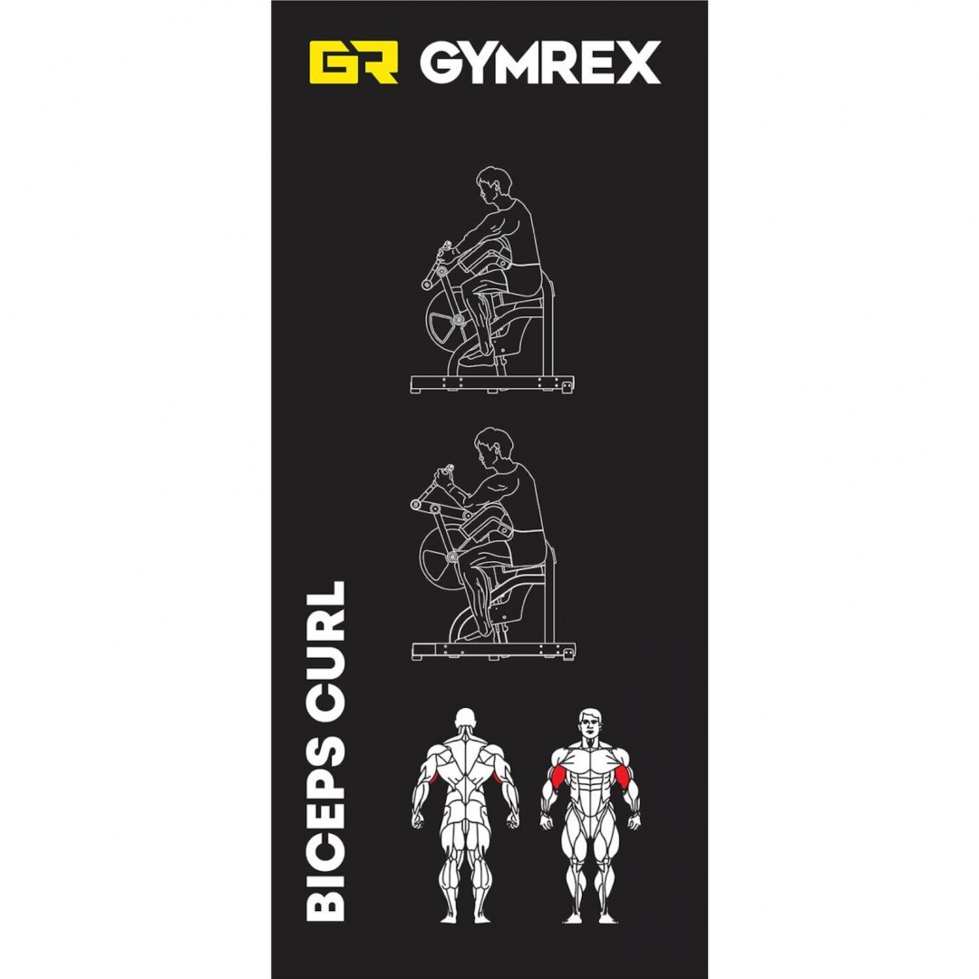 Maszyna urządzenie do treningu bicepsów na wolny ciężar BICEPS CURL GYMREX Maszyna urządzenie do treningu bicepsów na wolny ciężar BICEPS CURL GYMREX