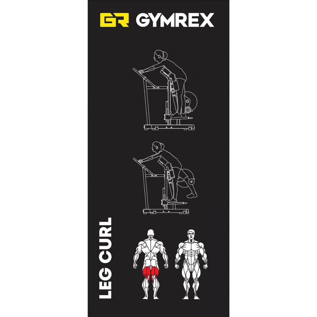 Maszyna urządzenie do treningu mięśni dwugłowych ud na wolny ciężar LEG CURL GYMREX Maszyna urządzenie do treningu mięśni dwugłowych ud na wolny ciężar LEG CURL GYMREX