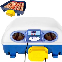 Inkubator klujnik do 49 jaj automatyczny z dozownikiem wody profesjonalny 150 W BOROTTO