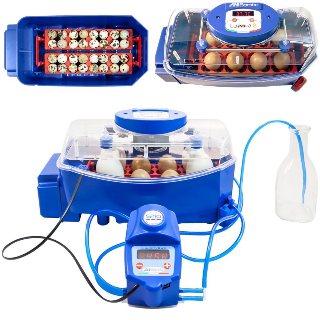 Inkubator klujnik do 8 jaj automatyczny z systemem nawilżania profesjonalny 50 W BOROTTO Inkubator klujnik do 8 jaj automatyczny z systemem nawilżania profesjonalny 50 W BOROTTO