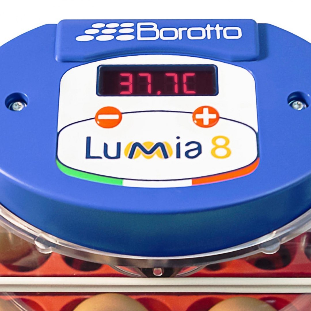 Inkubator klujnik do 8 jaj automatyczny z systemem nawilżania profesjonalny 50 W BOROTTO Inkubator klujnik do 8 jaj automatyczny z systemem nawilżania profesjonalny 50 W BOROTTO