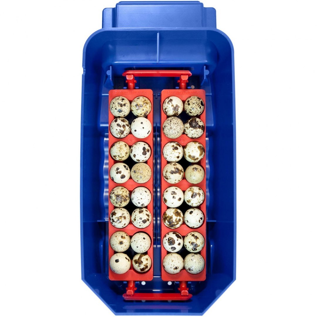 Inkubator klujnik do 8 jaj automatyczny z systemem nawilżania profesjonalny 50 W BOROTTO Inkubator klujnik do 8 jaj automatyczny z systemem nawilżania profesjonalny 50 W BOROTTO