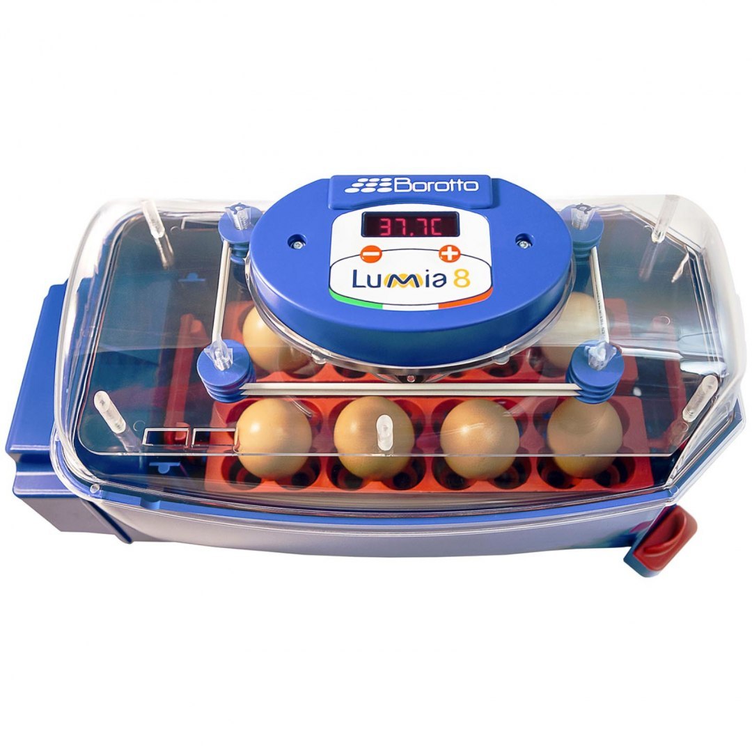 Inkubator klujnik do 8 jaj automatyczny z systemem nawilżania profesjonalny 50 W BOROTTO Inkubator klujnik do 8 jaj automatyczny z systemem nawilżania profesjonalny 50 W BOROTTO
