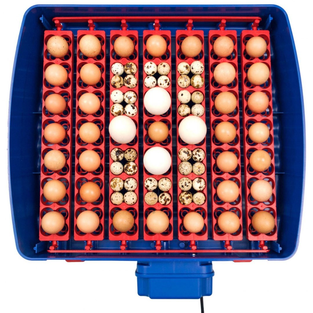 Inkubator wylęgarka do 49 jaj automatyczna z systemem nawilżania BIOMASTER 150 W BOROTTO