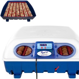 Inkubator wylęgarka do 49 jaj kurzych półautomatyczna profesjonalna ZESTAW 150 W BOROTTO