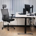 Krzesło fotel biurowy siatkowy ergonomiczny z podparciem lędźwi i zagłówkiem maks. 150 kg FROMM&amp;STARCK