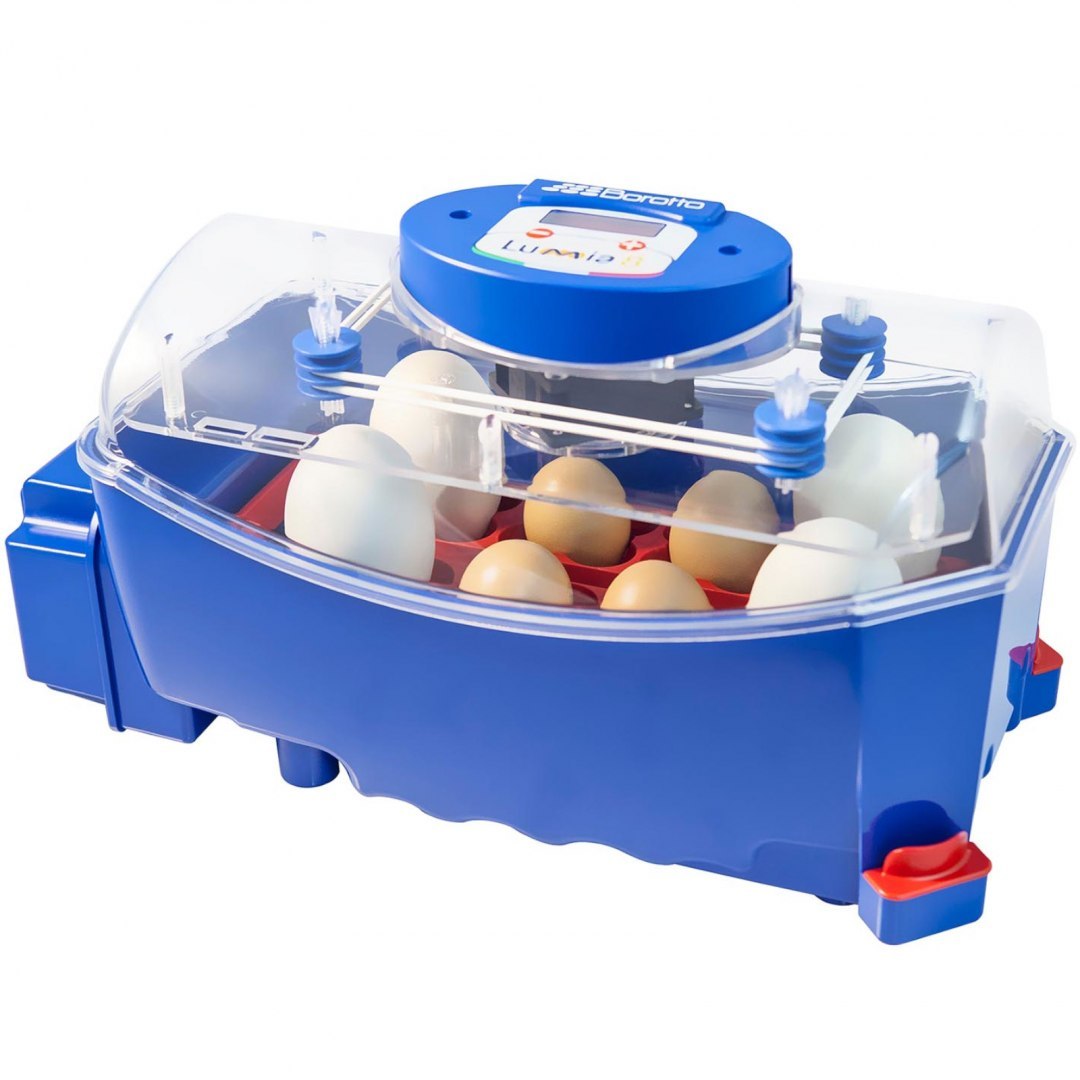 Inkubator klujnik do 8 jaj automatyczny z dystrybutorem wody profesjonalny 50 W BOROTTO Inkubator klujnik do 8 jaj automatyczny z dystrybutorem wody profesjonalny 50 W BOROTTO
