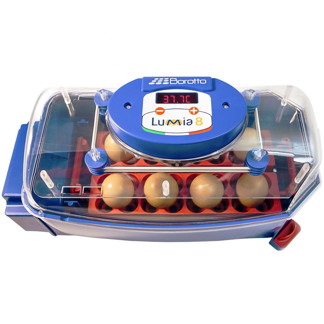 Inkubator klujnik do 8 jaj automatyczny z dystrybutorem wody profesjonalny 50 W BOROTTO
