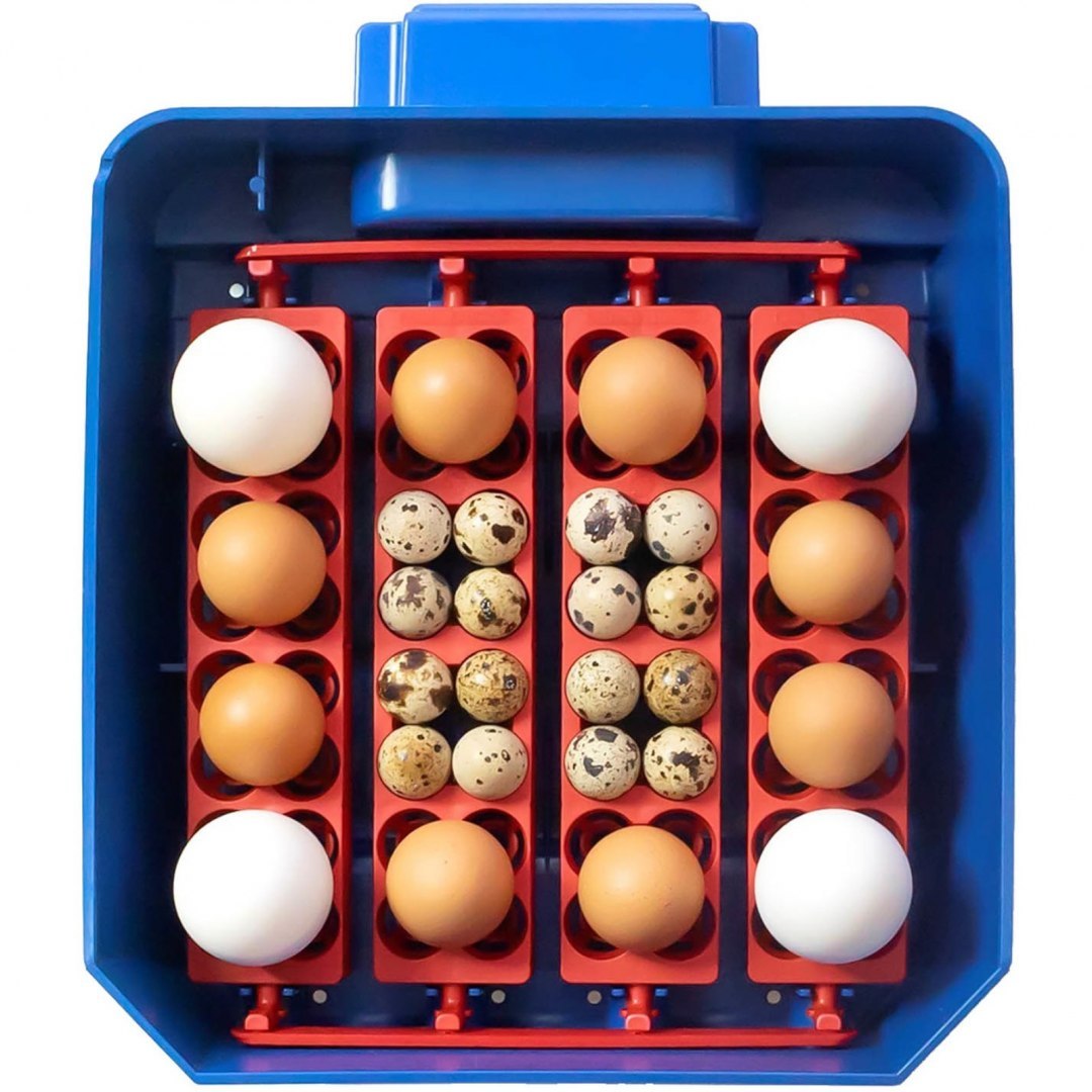 Inkubator klujnik do 16 jaj automatyczny z dystrybutorem wody profesjonalny 60 W BOROTTO
