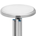 Taboret stołek laboratoryjny warsztatowy ze stali nierdzewnej 45-60 cm do 100 kg Steinberg Systems