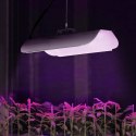 Lampa do wzrostu uprawy roślin pełne spektrum 25 x 12 cm 136 LED 50 W srebrna Hillvert