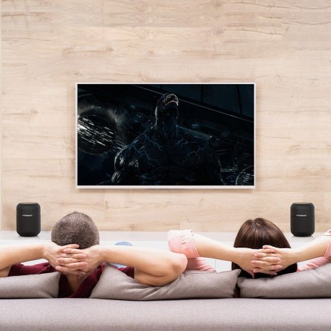 Bezprzewodowy głośnik Bluetooth Element T6 Max 60W czarny Tronsmart Bezprzewodowy głośnik Bluetooth Element T6 Max 60W czarny Tronsmart