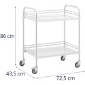 Wózek laboratoryjny zabiegowy kosmetyczny ze stali 2 półki 73 x 44 x 86 cm 20 kg Steinberg Systems