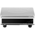 Waga pocztowa platforma 21 x 27cm akumulator + zasilacz 3kg / 0.1g Steinberg Systems