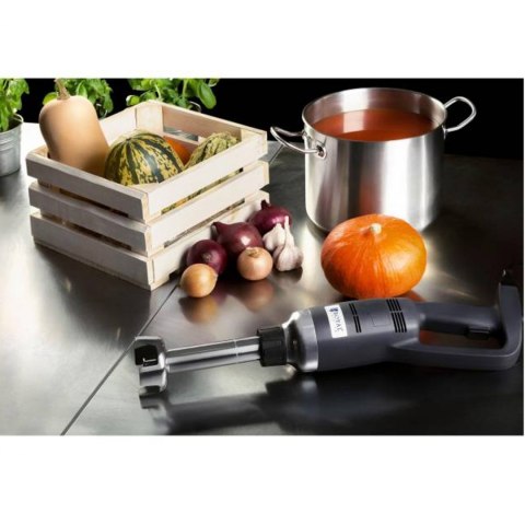 Mocny mikser blender robot ręczny dł. ramienia 250mm 350W 230V Royal Catering Royal Catering Mocny mikser blender robot ręczny dł. ramienia 250mm 350W 230V Royal Catering Royal Catering