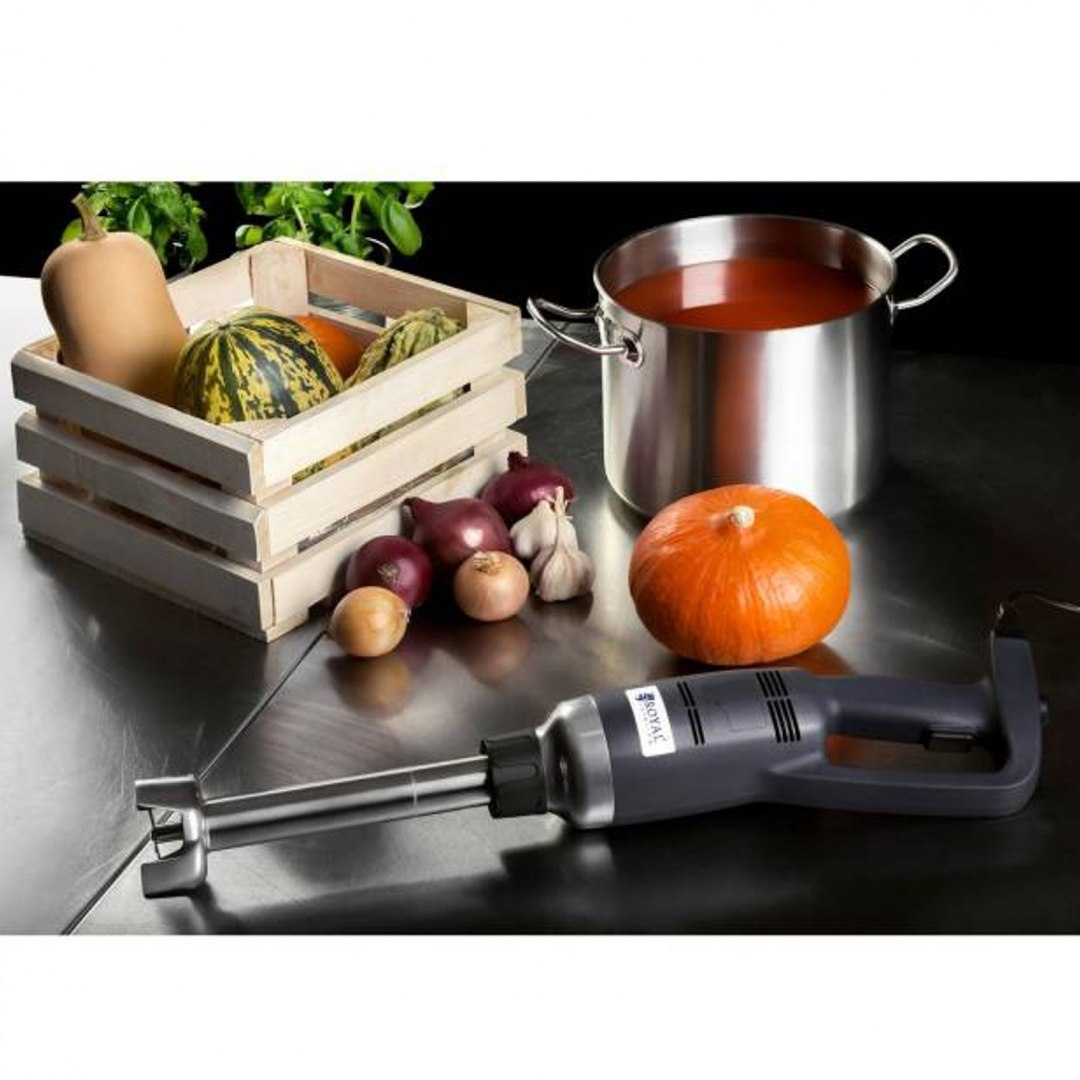 Mocny mikser blender robot ręczny dł. ramienia 300mm 350W 230V Royal Catering Royal Catering Mocny mikser blender robot ręczny dł. ramienia 300mm 350W 230V Royal Catering Royal Catering