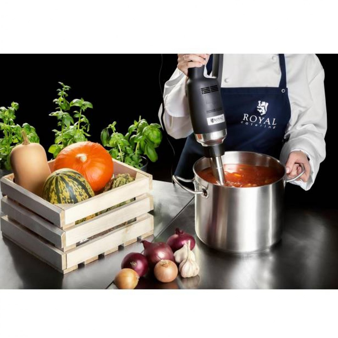 Mocny mikser blender robot ręczny dł. ramienia 300mm 350W 230V Royal Catering Royal Catering Mocny mikser blender robot ręczny dł. ramienia 300mm 350W 230V Royal Catering Royal Catering
