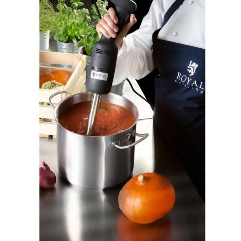Mocny mikser blender robot ręczny dł. ramienia 400mm 350W 230V Royal Catering Royal Catering Mocny mikser blender robot ręczny dł. ramienia 400mm 350W 230V Royal Catering Royal Catering