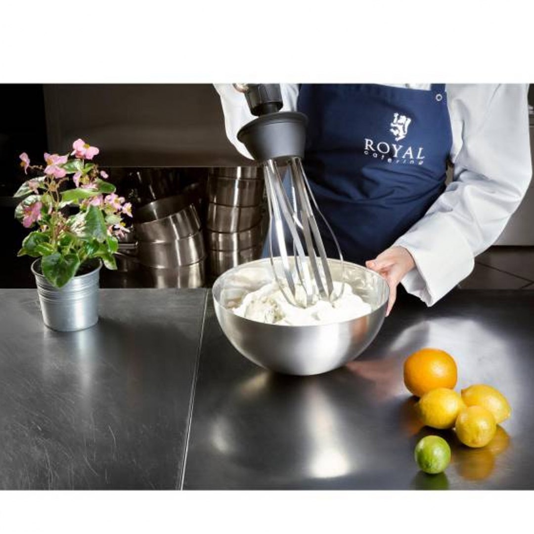 Mocny mikser blender robot ręczny z trzepaczką 500W 230V Royal Catering Royal Catering Mocny mikser blender robot ręczny z trzepaczką 500W 230V Royal Catering Royal Catering