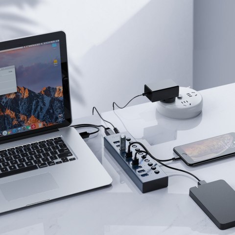 Hub BT2U3-13AB z włącznikami 13x USB-A - szary ORICO