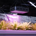 Lampa do uprawy wzrostu roślin Hillvert LED 600W czarna Hillvert