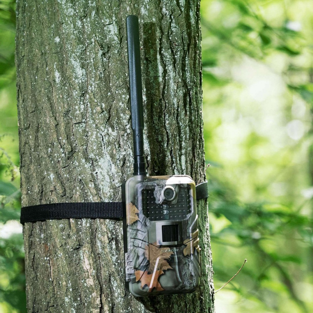 Fotopułapka kamera leśna z czujnikiem ruchu 8MP F-HD 20m IR LED 4G LTE ANT Stamony Fotopułapka kamera leśna z czujnikiem ruchu 8MP F-HD 20m IR LED 4G LTE ANT Stamony