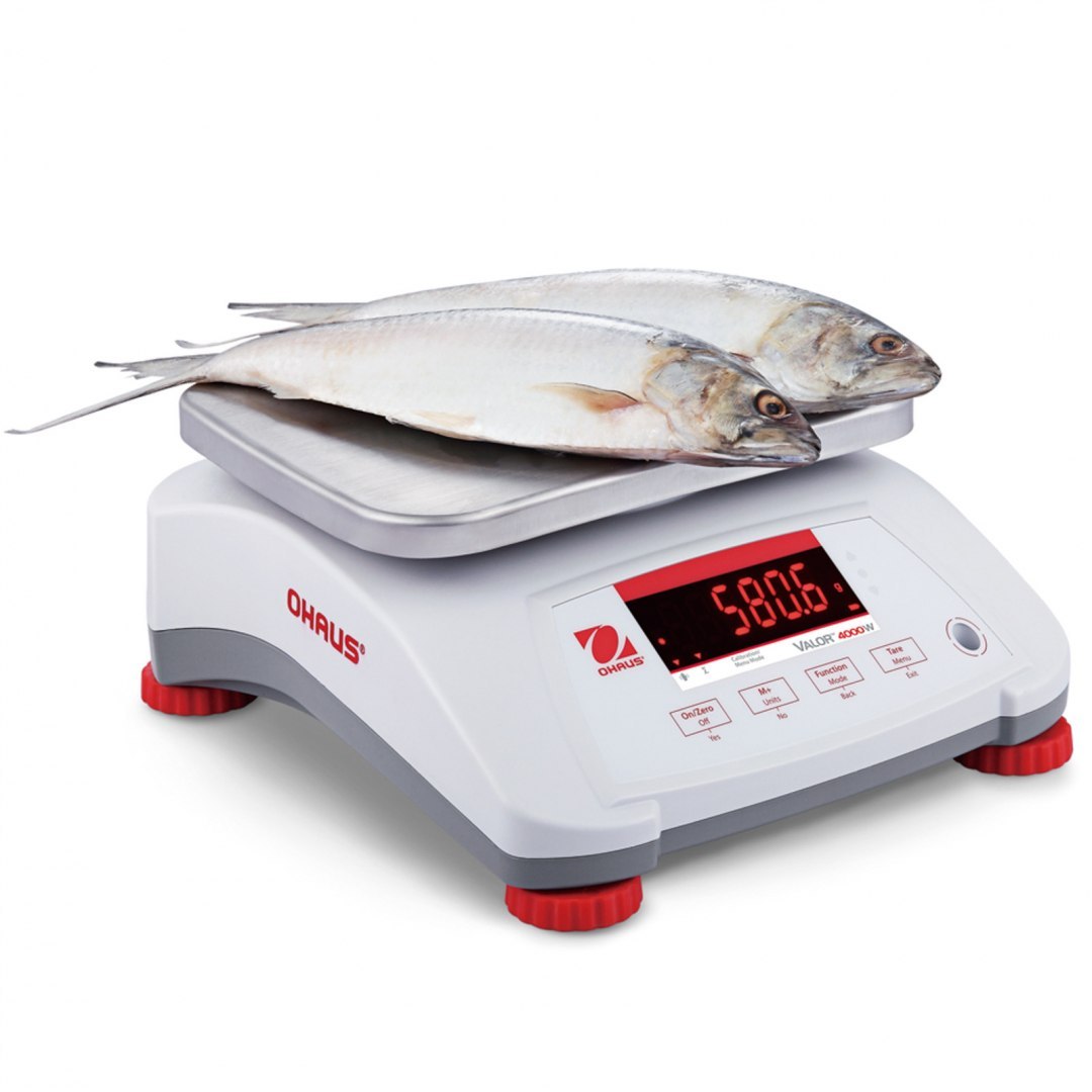 Waga VALOR 4000 z legalizacją kuchenna gastronomiczna wodoodporna IP68 LED 3Kg / 1g - OHAUS V41PWE3T-M OHAUS Waga VALOR 4000 z legalizacją kuchenna gastronomiczna wodoodporna IP68 LED 3Kg / 1g - OHAUS V41PWE3T-M OHAUS
